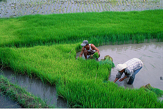 xổ số tây ninh hôm nay