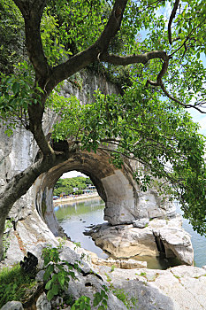 xổ số đài trung