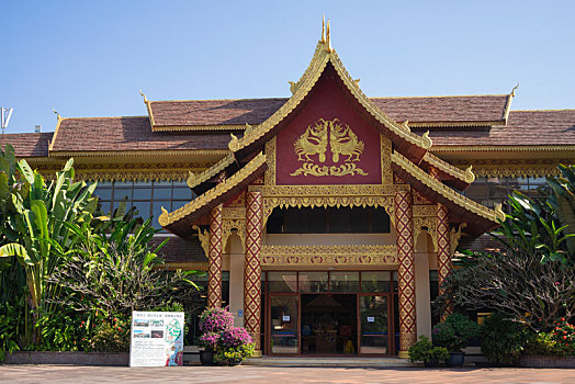 rong bạch kim 666