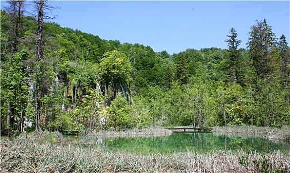 du doan giai dac biet
