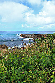 soi lô gan