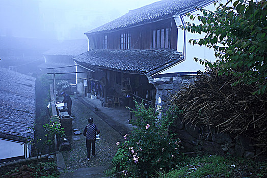 soi cau bach thu xsmb ngay hom nay