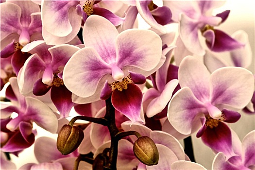 dự đoán trúng thưởng miền bắc