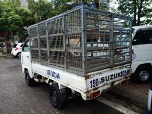 Xe Suzuki chở gia cầm gia súc